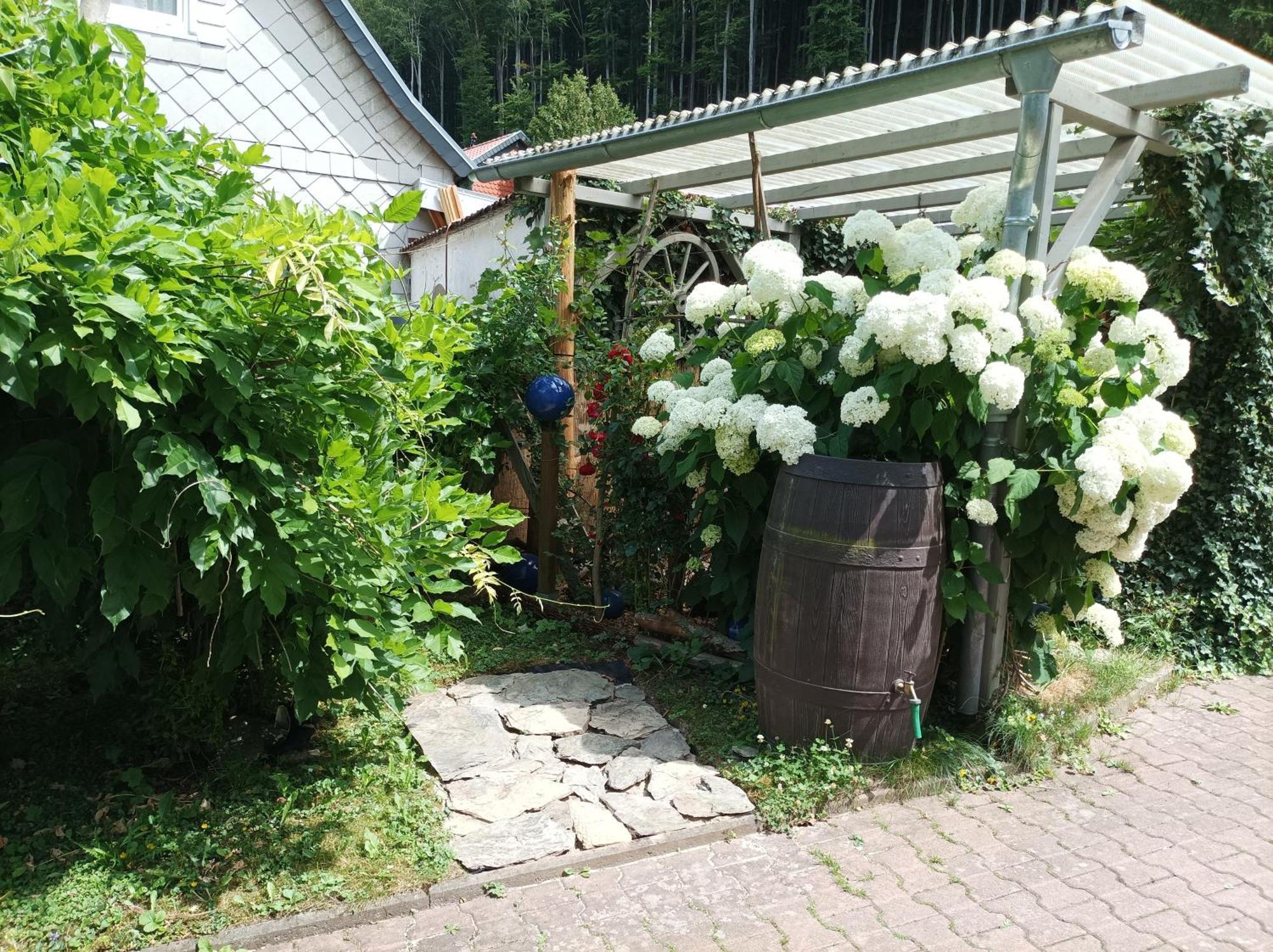 ,,an Der Kleinen Wilde